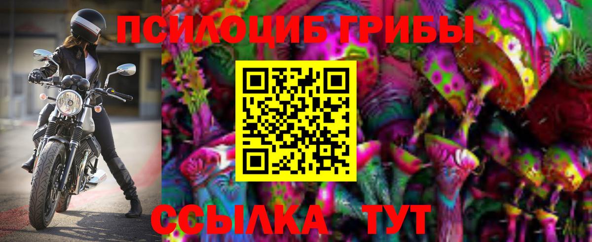 Юрга  Галлюциногенные грибы Cubensis  что такое   Вход с VPN 
